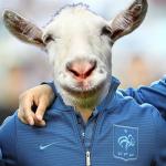 Euro 2016 : des expressions à vous rendre chèvre