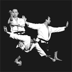 Wu shu kwan classes